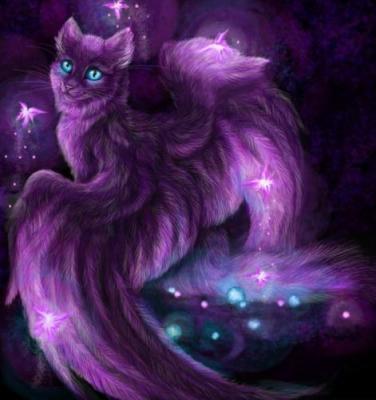 le chat